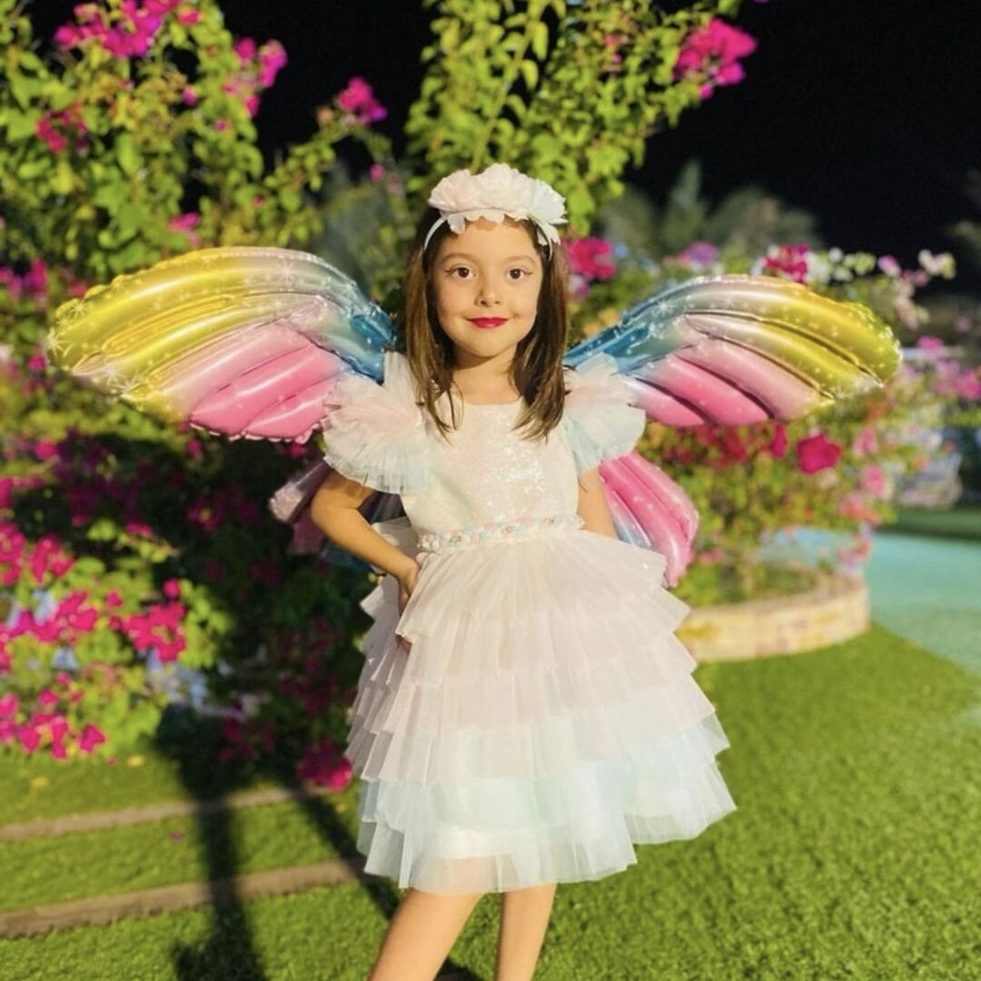 بالون الفراشة - الجناح