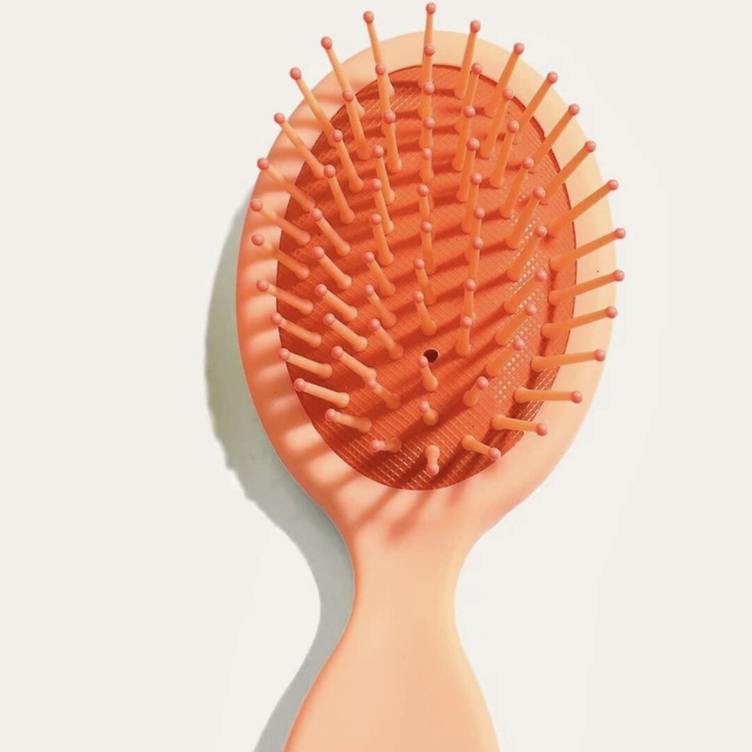 فرشاة شعر صغيرة