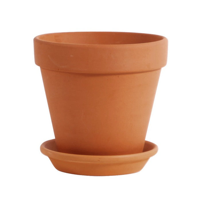 COLOR ME POT KIT
