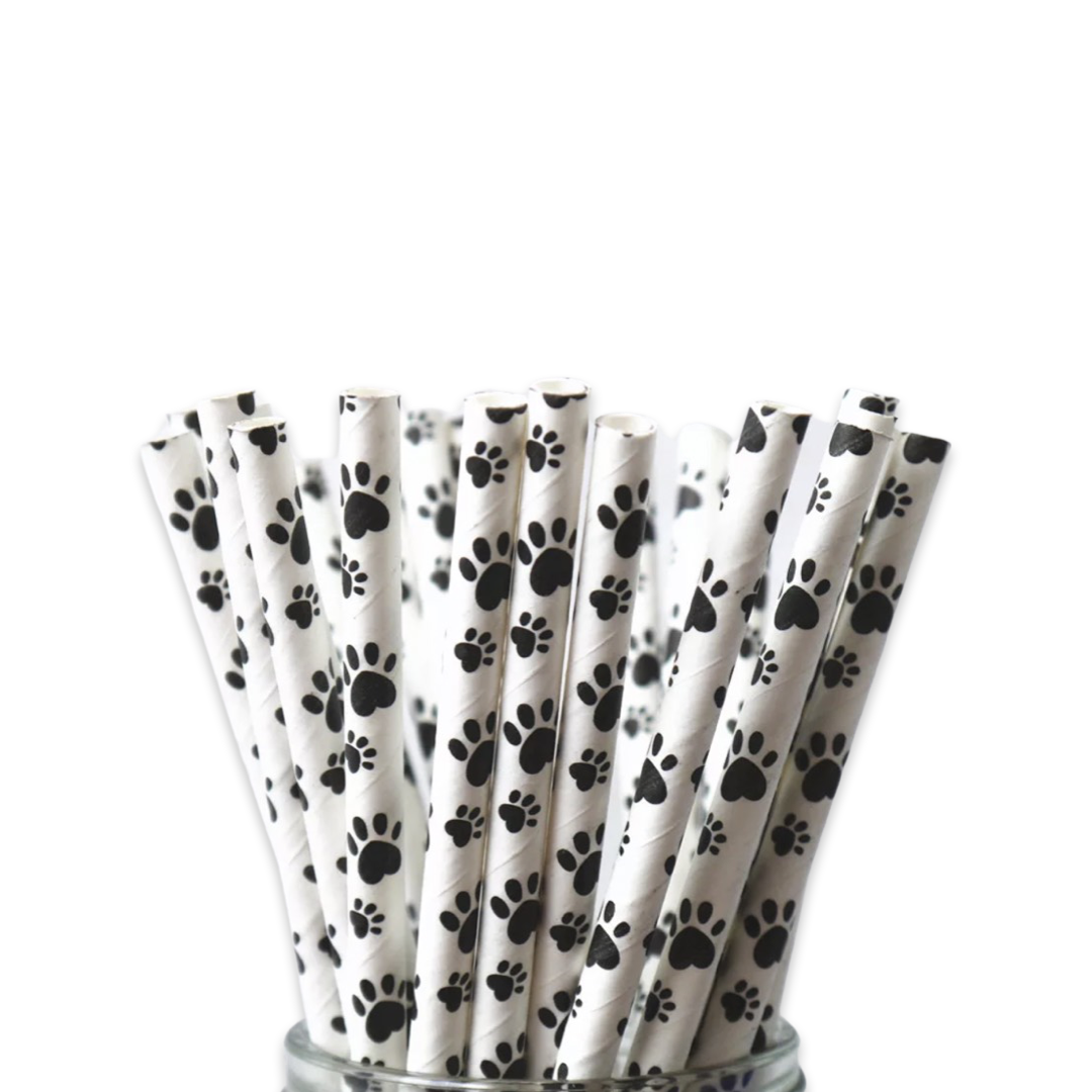 PAPER STRAW - WHITE AND BLACK