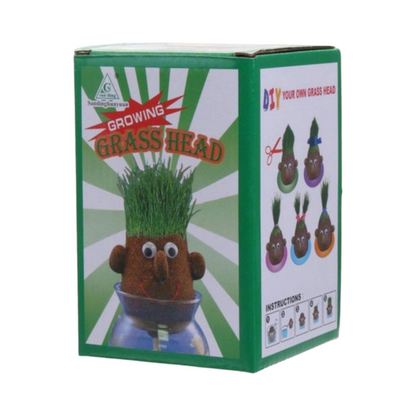 MINI DIY GRASS HEAD CRAFT