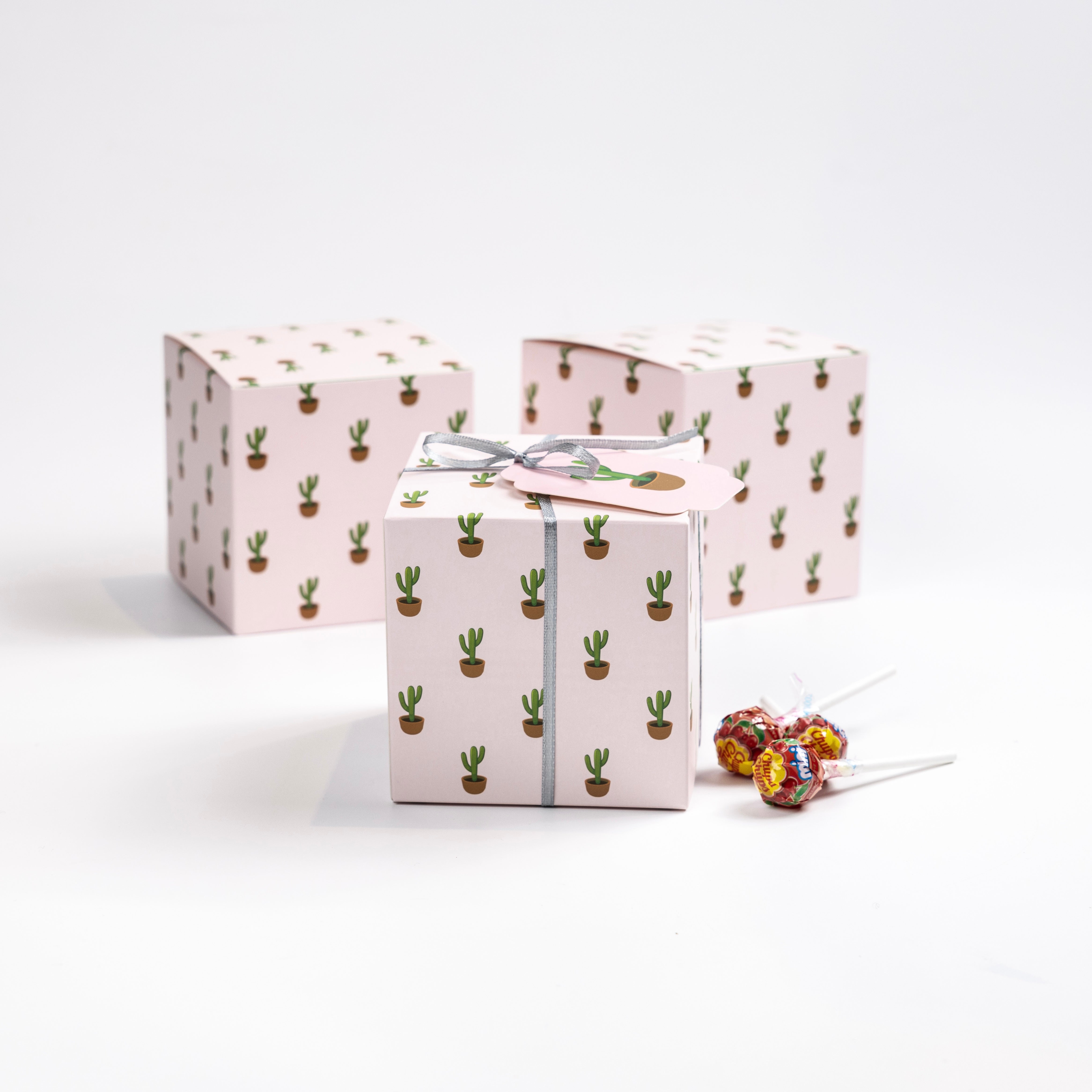 PAPER BOX - CACTUS PATTERN – Sandoqi