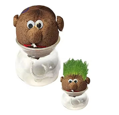 MINI DIY GRASS HEAD CRAFT