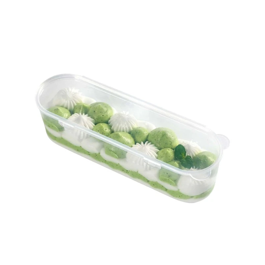 LONG PLASTIC CONTAINER WITH LID