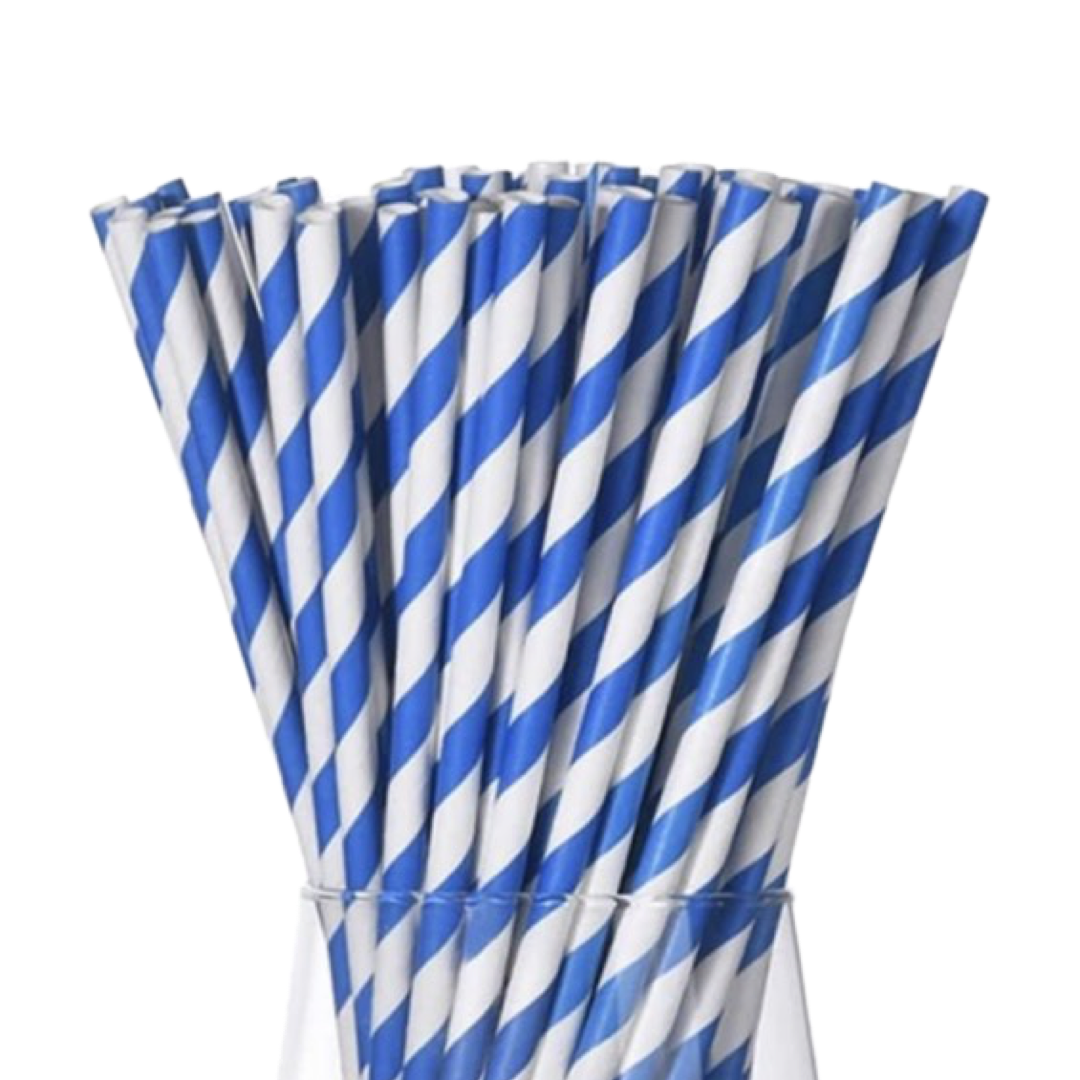 PAPER STRAW - BLUE AND WHITE